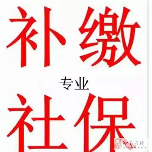 專業補繳本地社保與人力信息咨詢服務指南