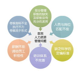 慧揚咨詢 以人力洞察驅(qū)動醫(yī)院管理的智慧轉(zhuǎn)型